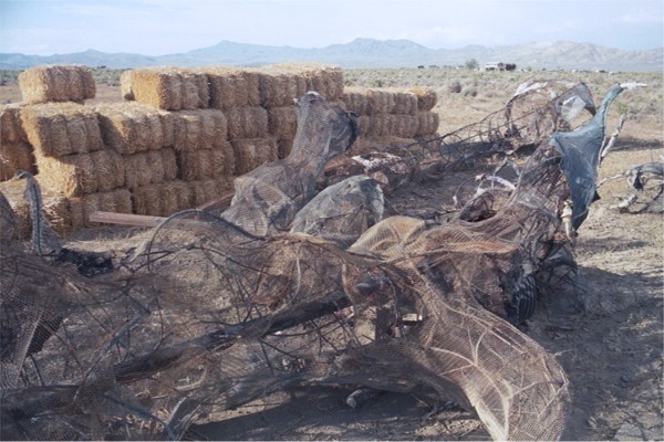 Remains of the opera stage